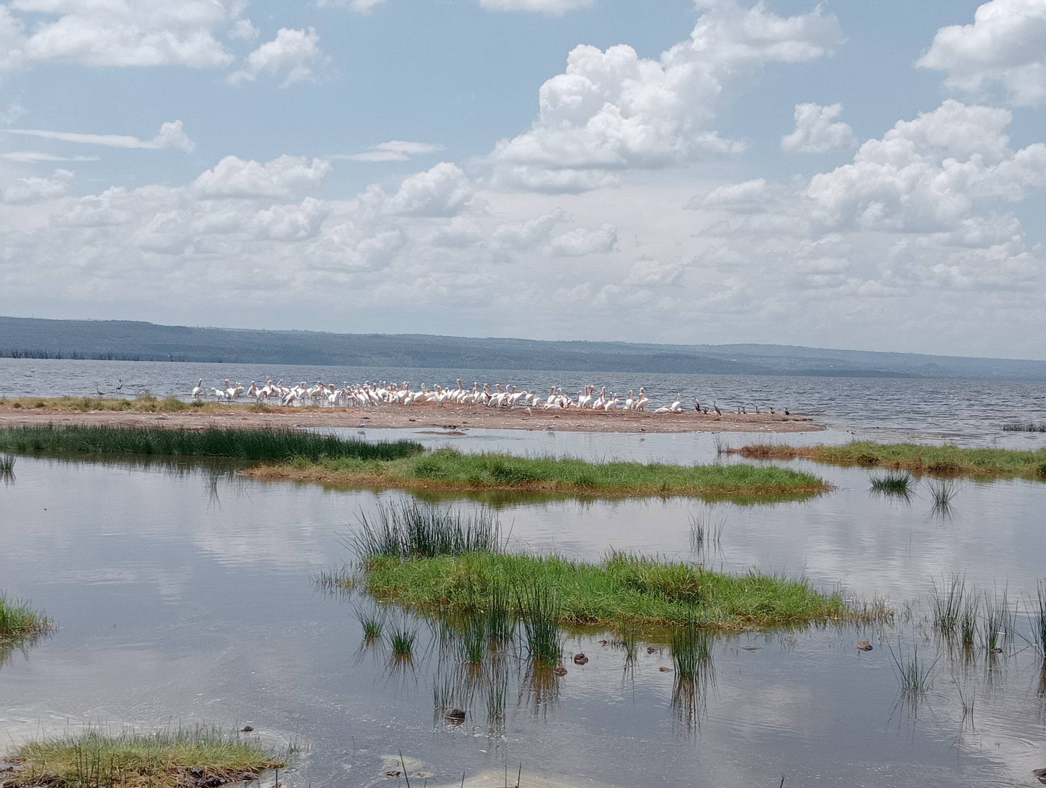 Lake Nakuru National Park