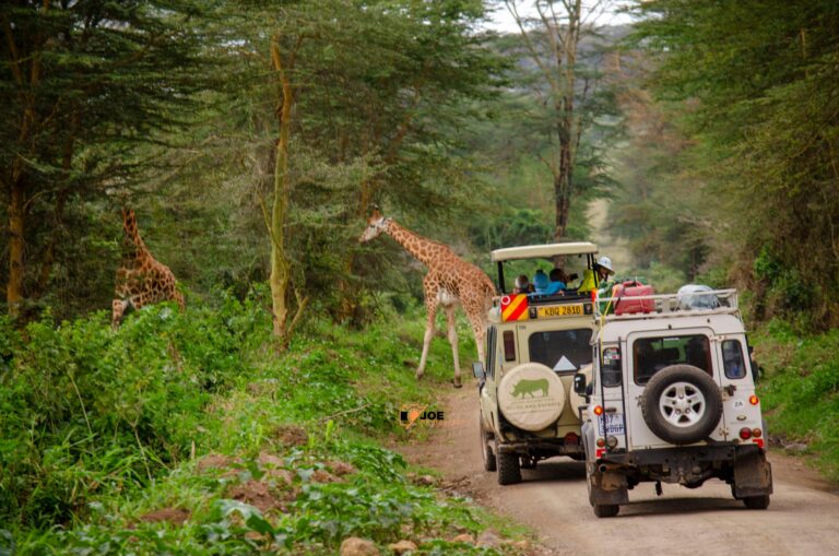 Photography Safari in Kenya