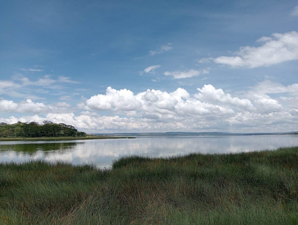 Lake Elementaita safari