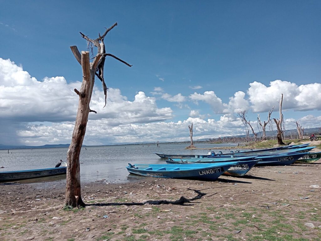 2 Days 1 Night Lake Naivasha Safari Tour (2)