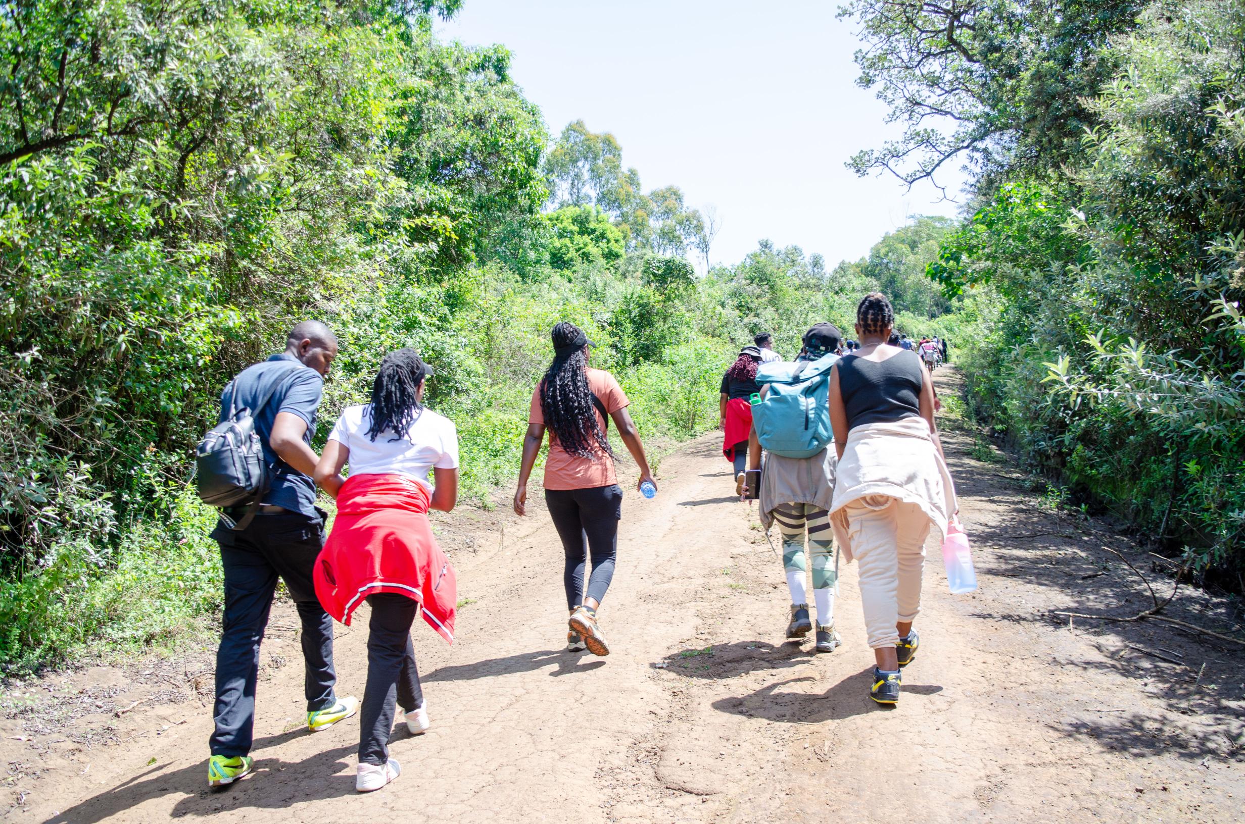 Best Hiking Tours in Kenya
