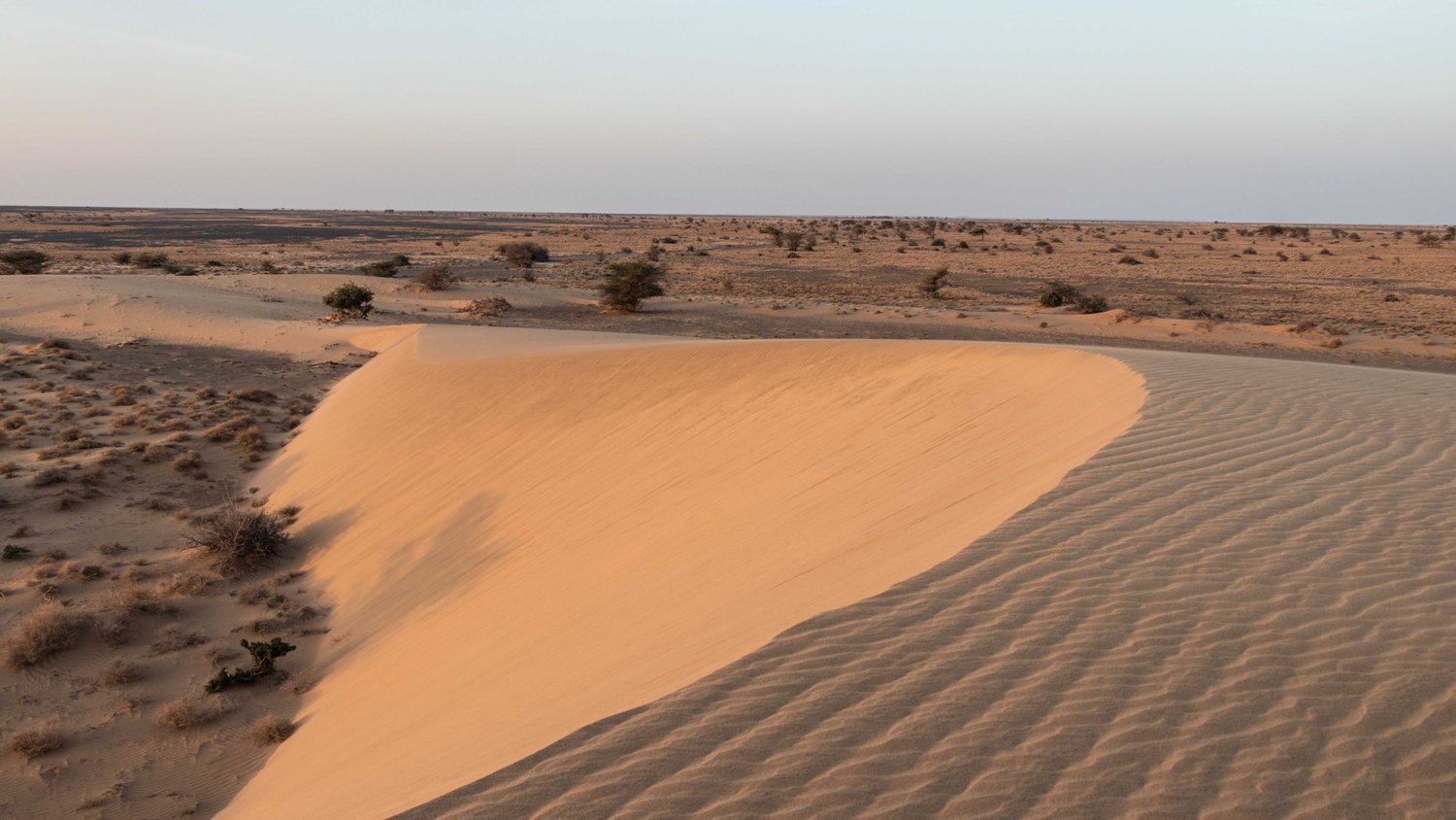 chalbi desert safari by joe photography and safaris