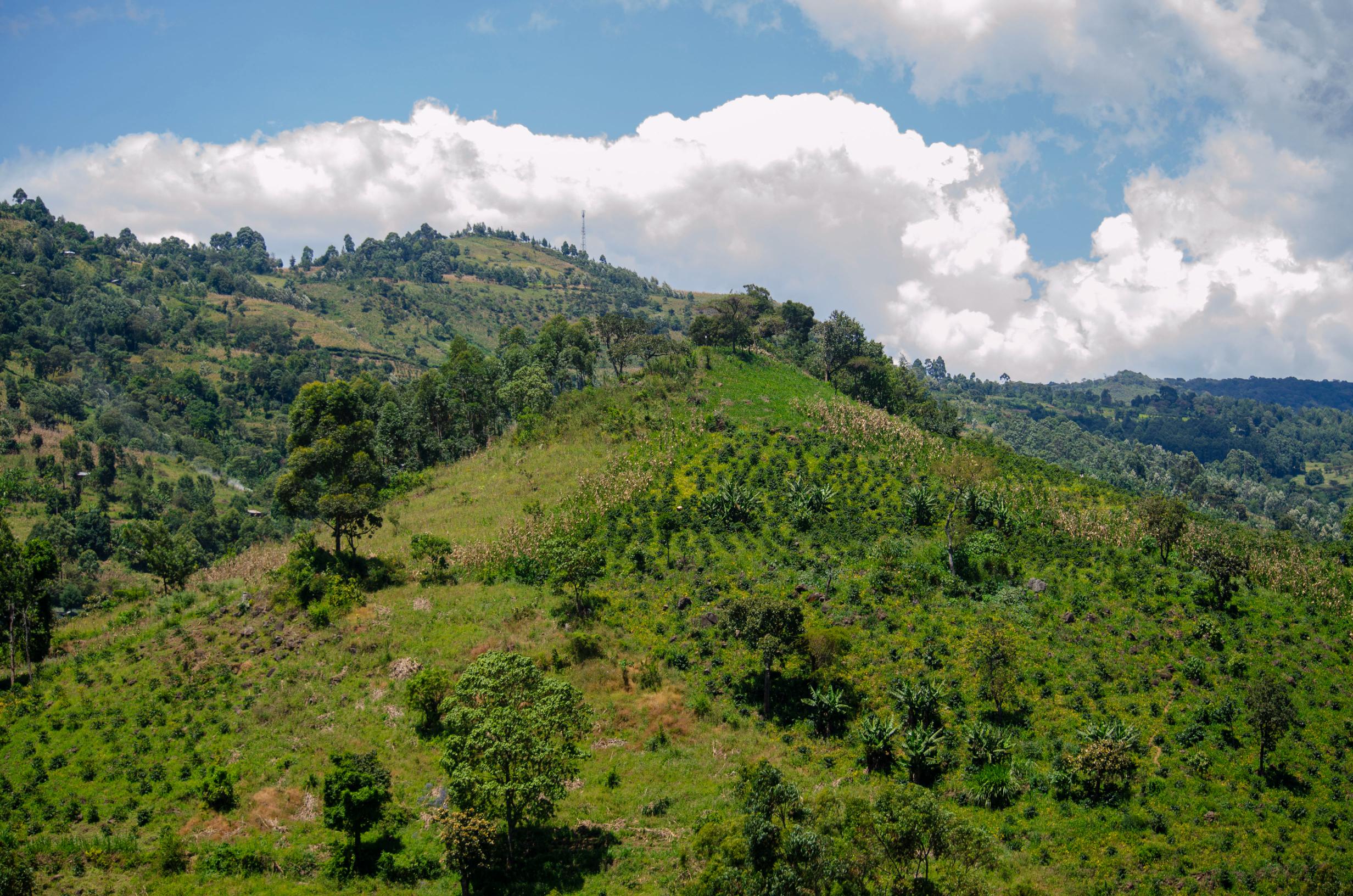 Digital Detox Tourism in Kenya