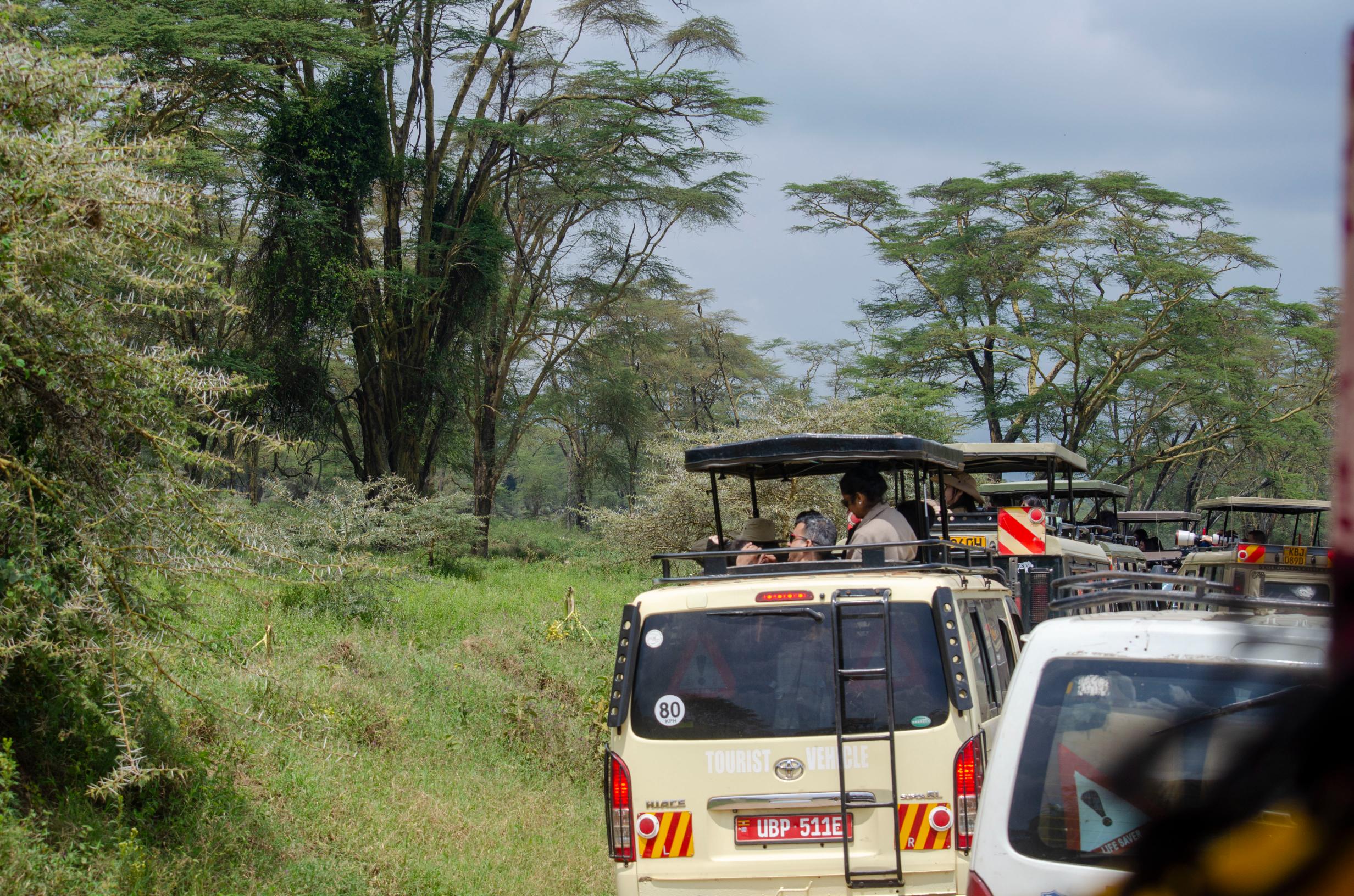 Kenya Tour Packages from Dubai, UAE