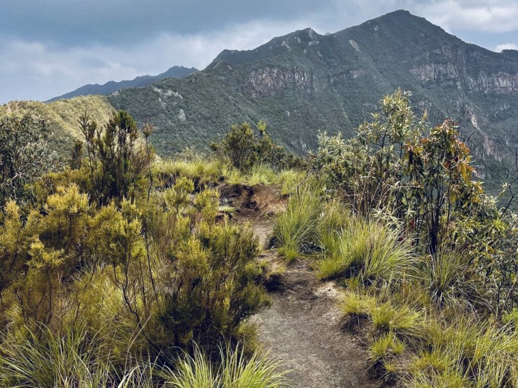 Mount Longonot Hike