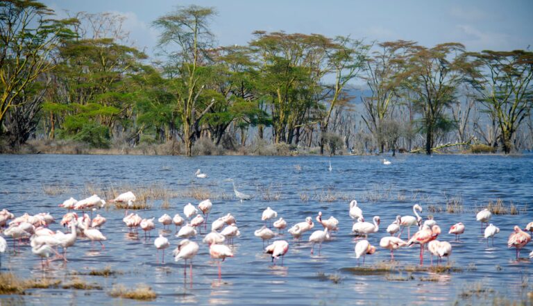 2 days Easter Holiday Package in Nakuru