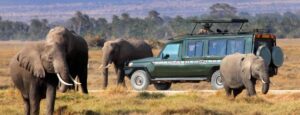 Best Tour Companies in Kenya