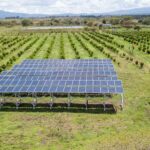 Commercial Photography in Kenya