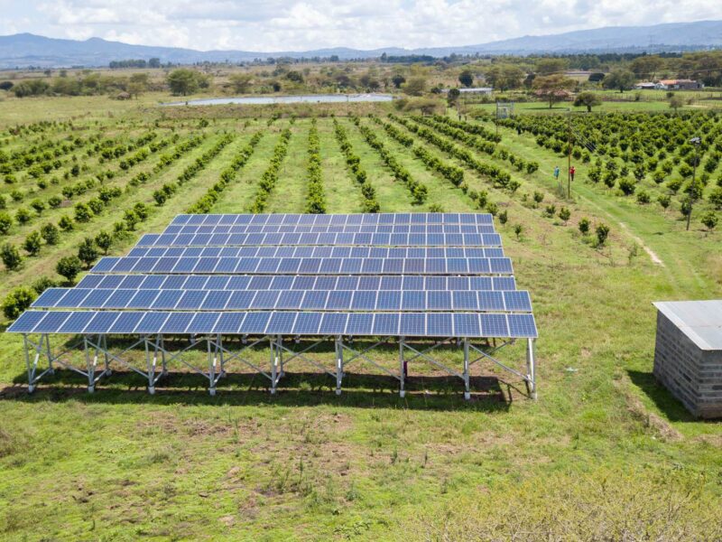 Commercial Photography in Kenya