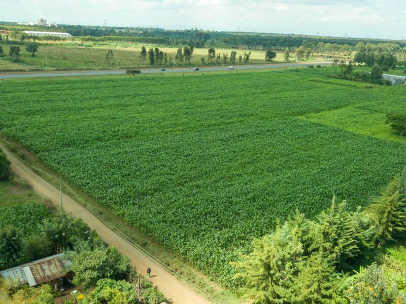 Drone & Aerial Photography in Kenya