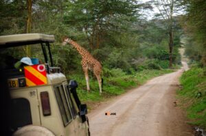 Professional Safari Videography Services Kenya