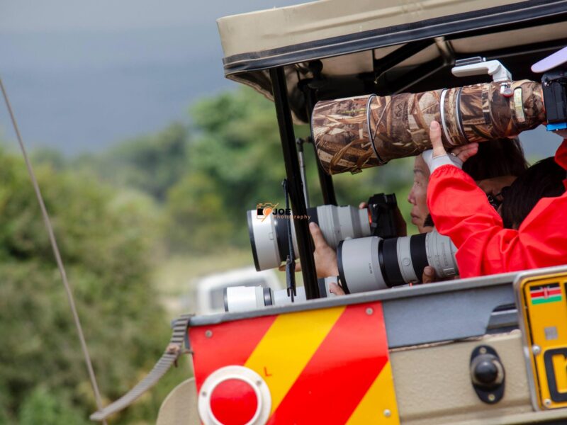 photography safari in kenya - joe photography and safaris