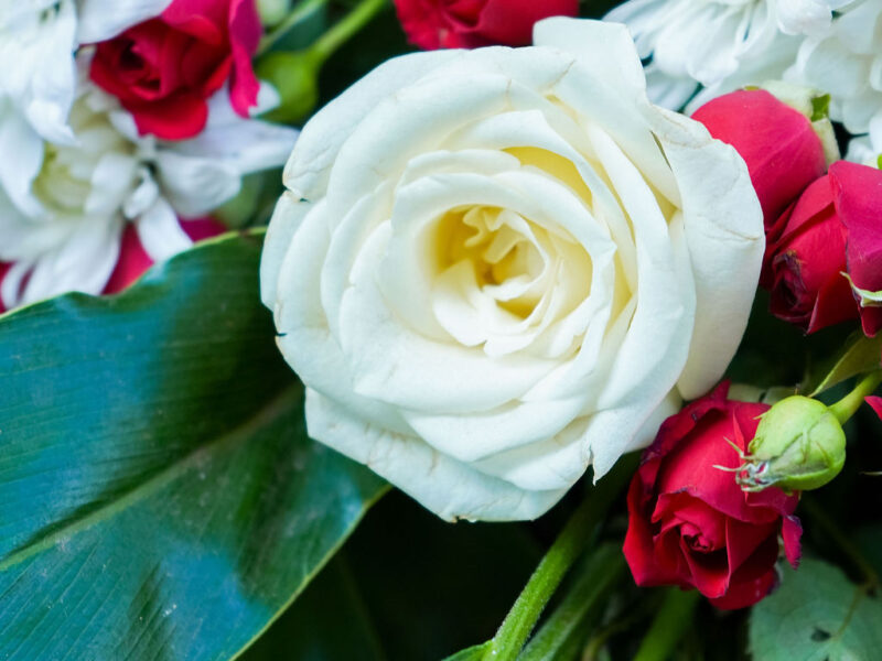 burial photography services nyeri