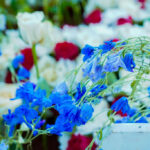burial live streaming services in Murang'a
